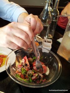 Saladenicoise.jpg