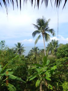 DSCN5697