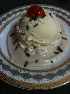 glace vanille 2