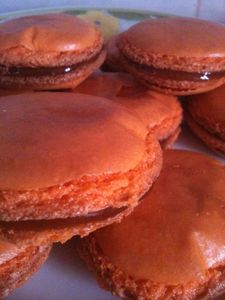 photo--11--copie-2.JPG
