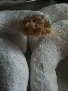 photo--15--copie-3.JPG