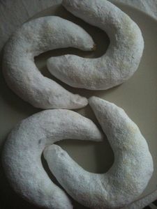 photo--17--copie-2.JPG