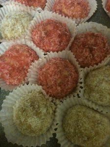 photo--5--copie-15.JPG
