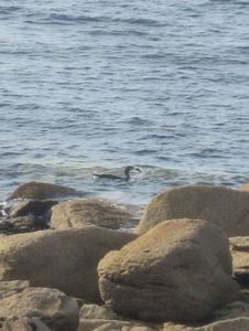 Bretagne 638