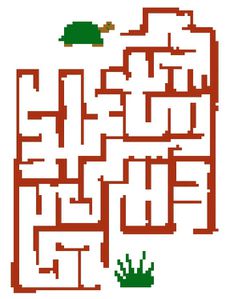 labyrinthe-tortue.jpg