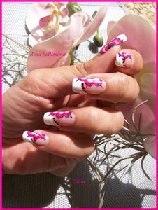 fleur os rose (3)
