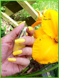 pupa 506 (2)