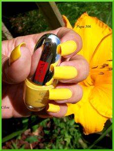 pupa 506