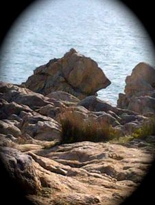 Le-Croisic-20121028-00962.jpg