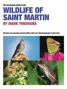 The-incomplete-guide-to-the-wildlife-of-saint-matin.jpg