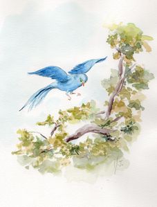 Oiseau-bleu-Paradise-birds-de-Cyril-Scott-aquarelle-Mj[1]