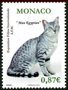 Monaco-2011-chat-MAu-Egypti