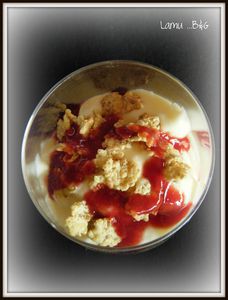 2009 07280020