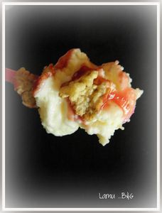 2009 07280029