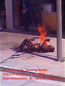 Immolation de Tsewang NorbuWikbisi