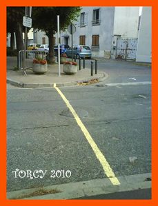 2010 TORCY007 (Medium)