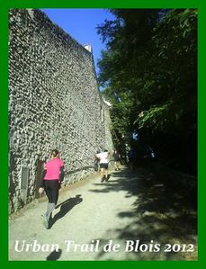 DSC05918--Small-.JPG