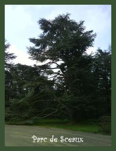SCEAUX DSC00709 (13) (Small)