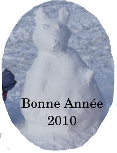Sans-titre.jpg