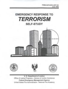 FEMAREPORTJUNE1999.jpg