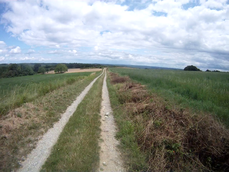 vlcsnap-2012-07-16-20h30m00s126
