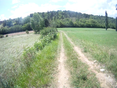 vlcsnap-2012-07-16-20h32m29s105