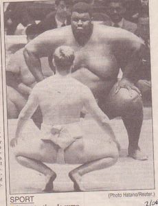 sumo-copie-1.jpg