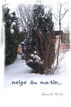 neige du matin