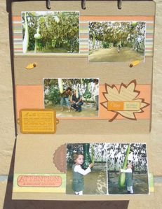 2009-08-25-Potager-20.jpg