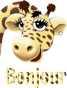 bonjour girafe 1