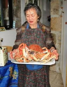 My-et--les--crabes-Araign-es-02b