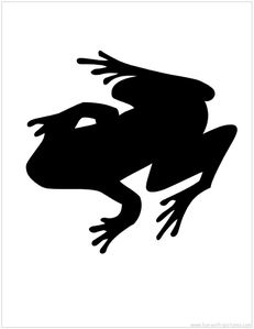grenouille11.jpg