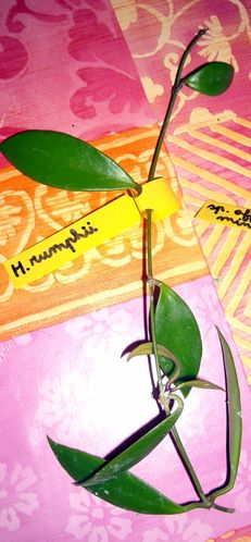 DSCN2198.JPG