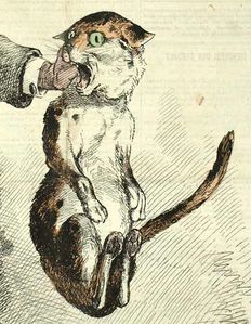 Le-chat-par-Gill-.jpg