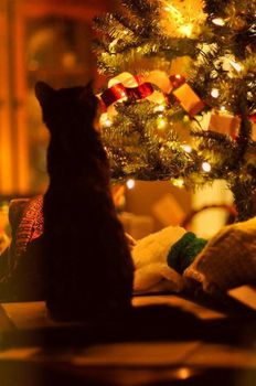 chat-noel-fb-dec-14.jpg