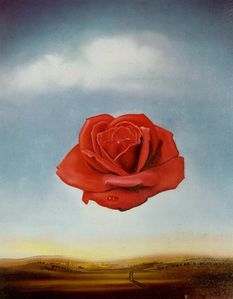 rose_meditative_salvador_dali.jpg