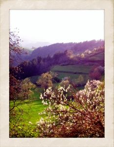 Valoan-printemps-d-avril.jpg