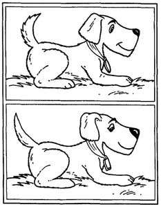 Differences-chien-7-differences_1_.jpg
