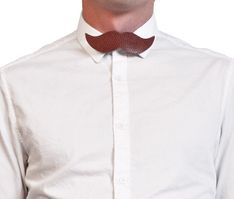 Bowtie-snakeskin3.jpg