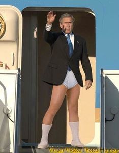 bush.jpg