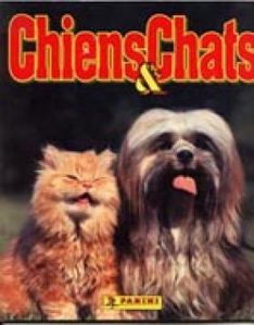 chiens & chats