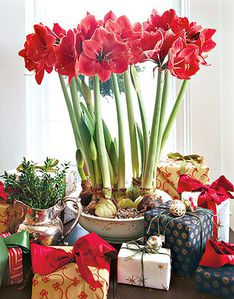 flowers-gifts-de