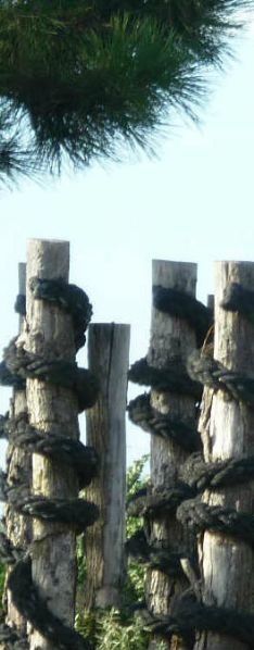 062-copie-1.jpg