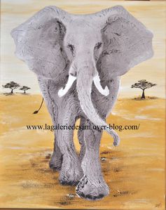 Elephant-grand-male.jpg