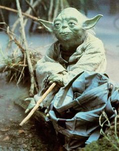 yoda-maitre.jpg