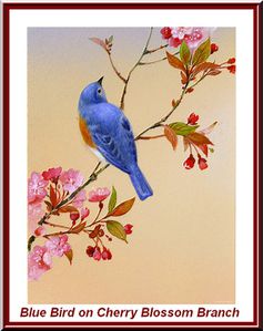 Blue Bird on Cherry Blossom Branch