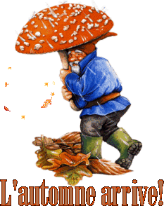 champignon