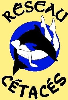 null societe civile reseau cetacés 00 art