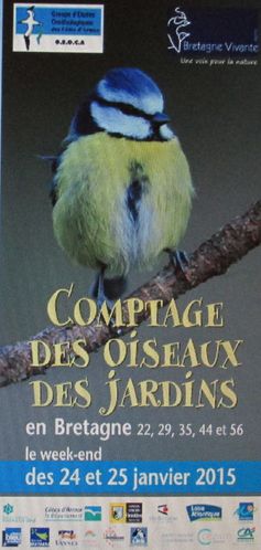 015r p1 Comptage Oiseaux Jardins 2015 BV&GEOCA