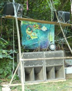 fougere party 04